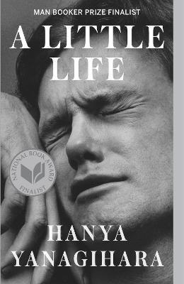 A Little Life                                                                                                                                         <br><span class="capt-avtor"> By:Yanagihara, Hanya                                 </span><br><span class="capt-pari"> Eur:14,29 Мкд:879</span>